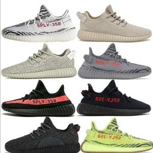 Meet your Posher, Donovan